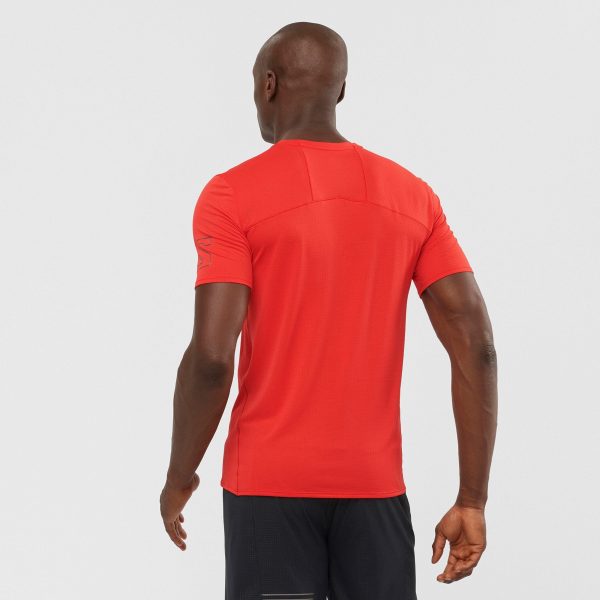 Salomon Xa Trail Tee M - Image 3