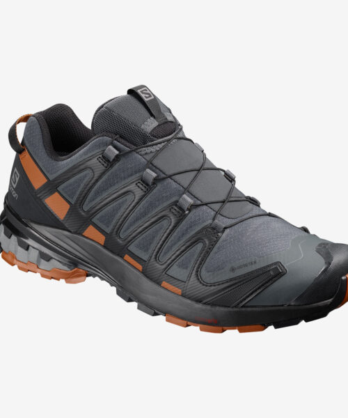 Salomon Xa Pro 3D V8 GTX WIDE M