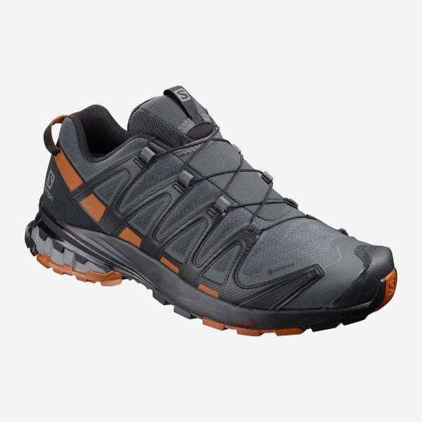 Salomon Xa Pro 3D V8 GTX WIDE M