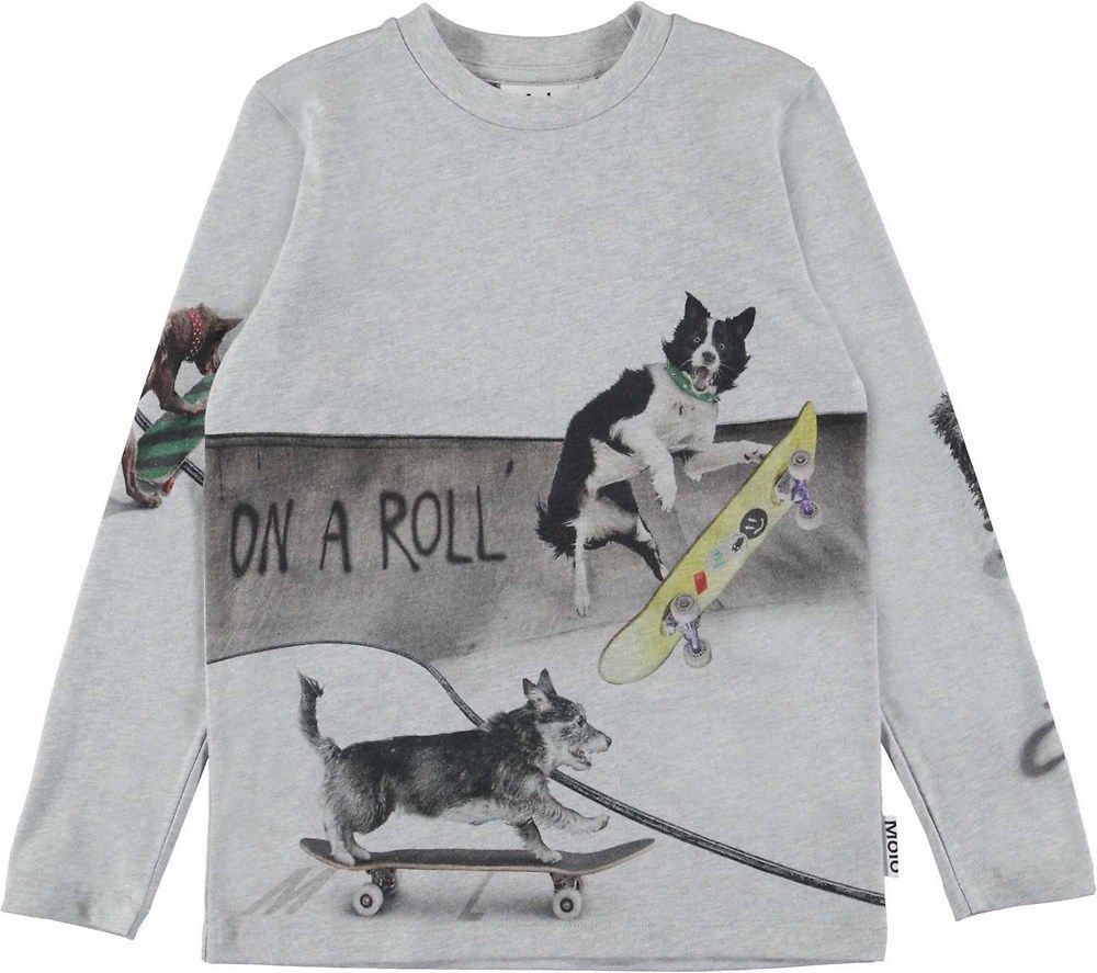 DOGGY SKATEPARK