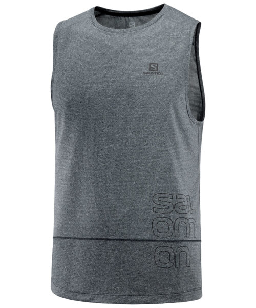 Salomon Cross Run Graphic Miesten Paita