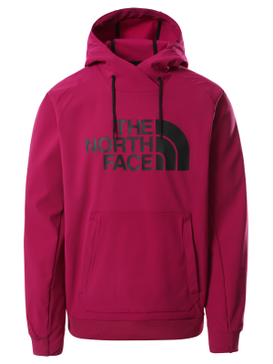 The North Face Tekno Logo Miesten Huppari