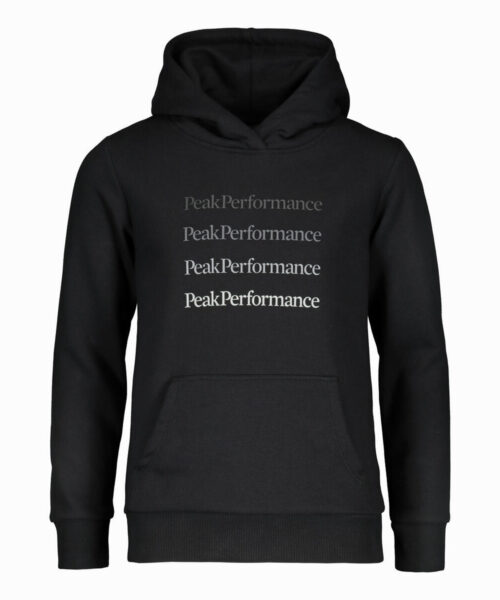 Peak Jr Ground Hoodie