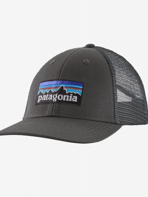 Patagonia P-6 Logo Lopro Trucker Hat Lippis