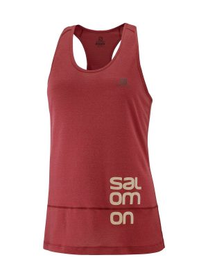 Salomon Cross Run Graphic Naisten Toppi