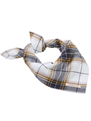 Amundsen Field Bandana Huivi