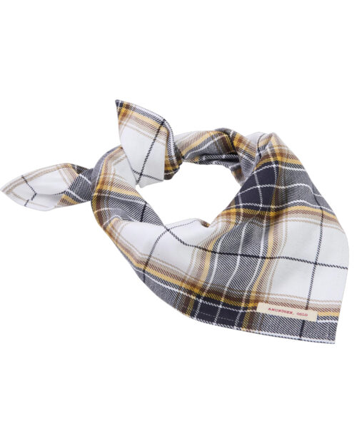 Amundsen Field Bandana