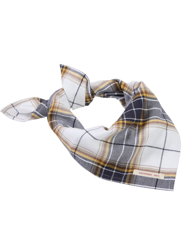 Amundsen Field Bandana Huivi
