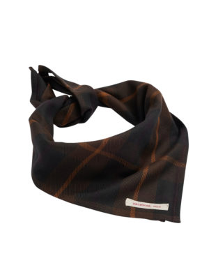 Alternative view of Amundsen Field Bandana Huivi