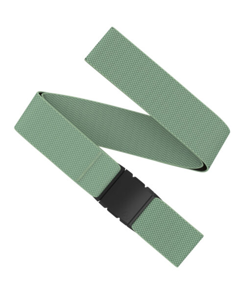 Arcade Carry Belt