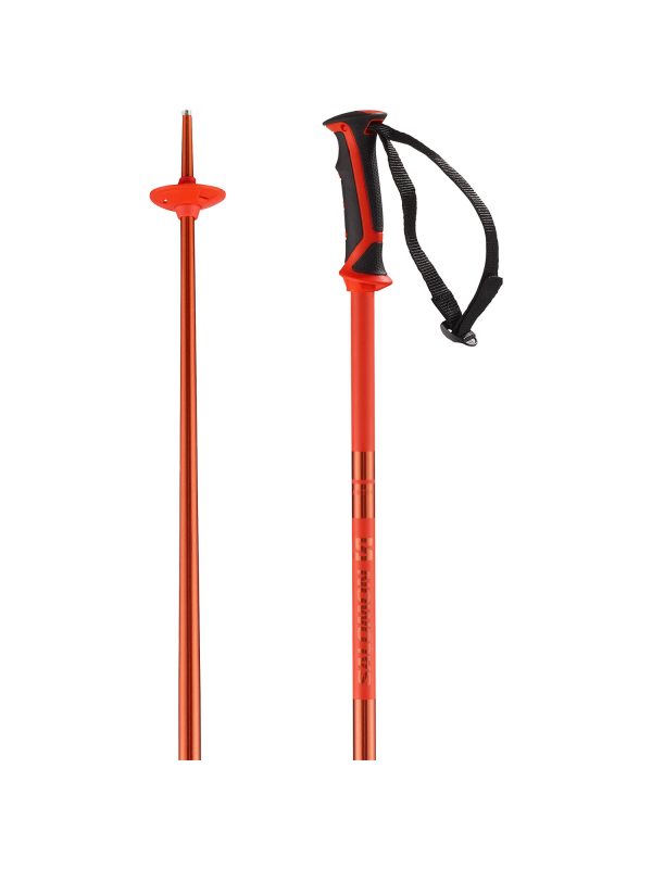 Salomon Arctic - Image 3