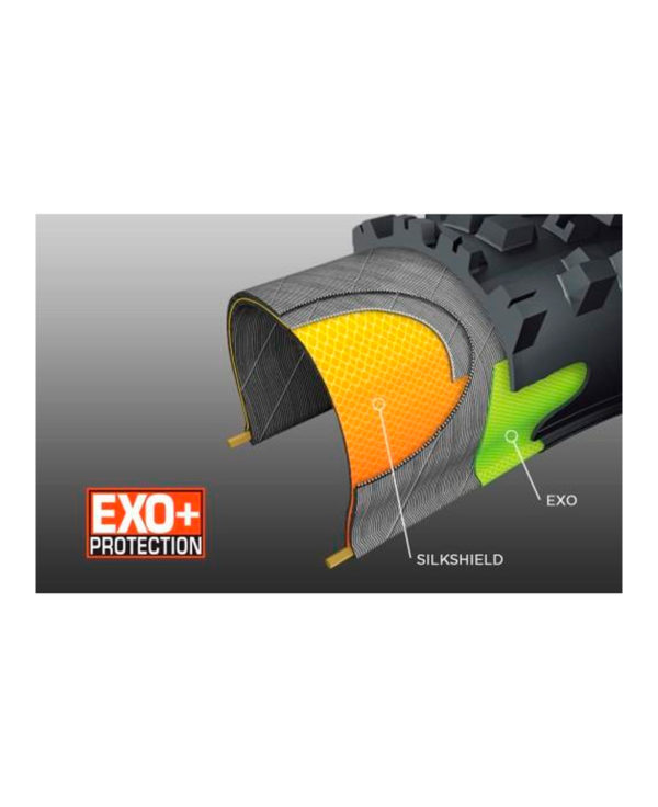 Maxxis Rekon EXO+ TR 3CT 29×2.6 120tpi folding - Image 2