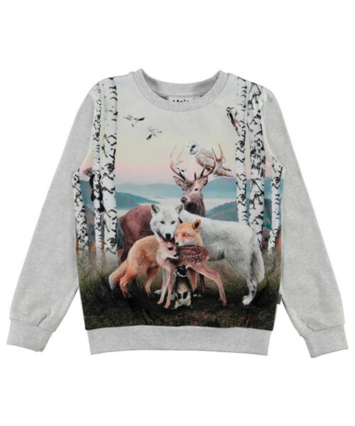 Molo Regine Sweatshirt