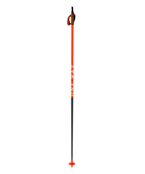 One Way Storm Junior Ski Poles