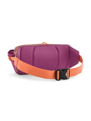 Alternative view of Patagonia Black Hole Waist Pack 5L Bag