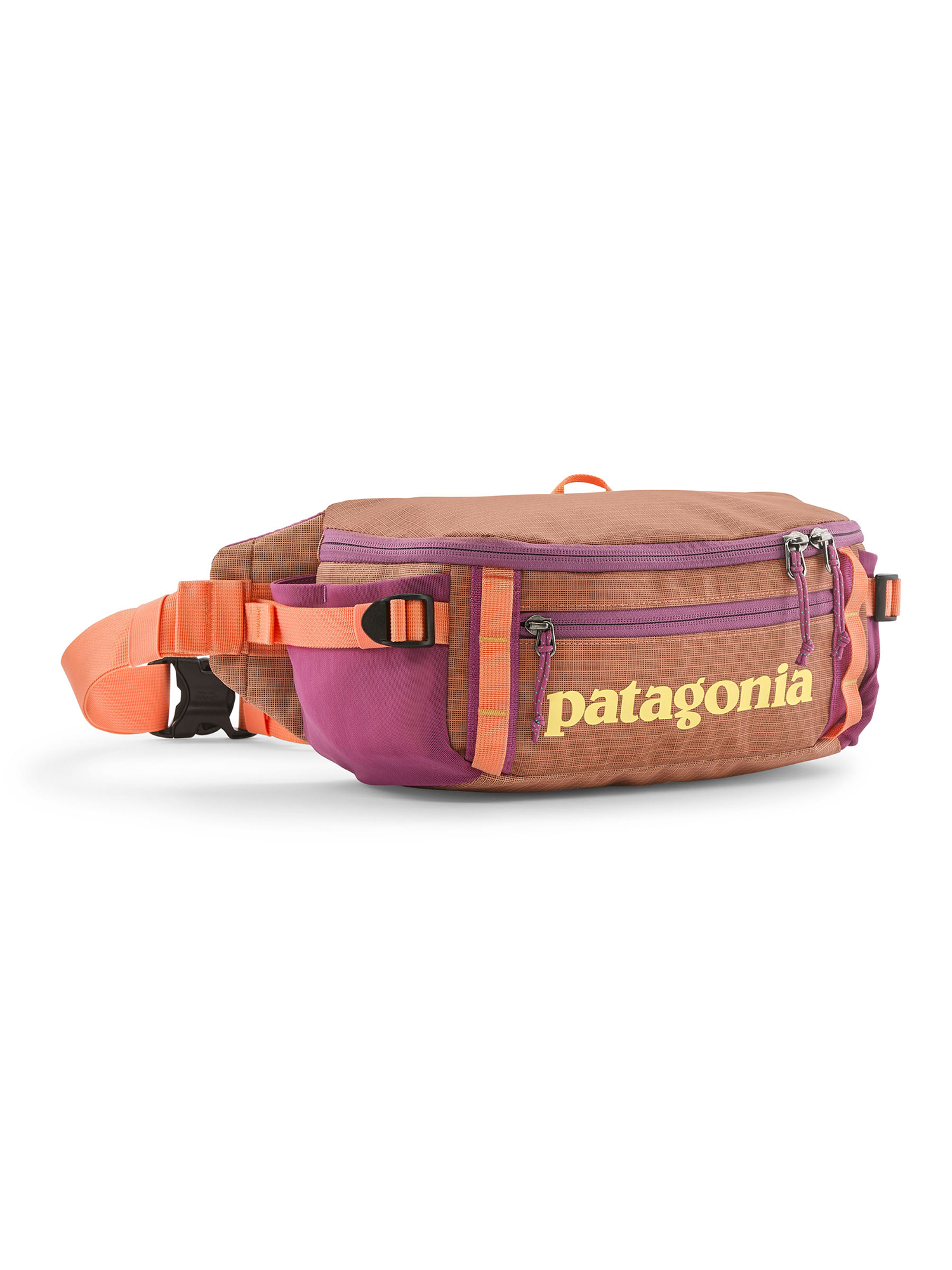 Patagonia Black Hole Waist Pack 5L Bag