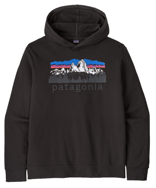 Patagonia Fitz Roy Foothills Miesten Huppari