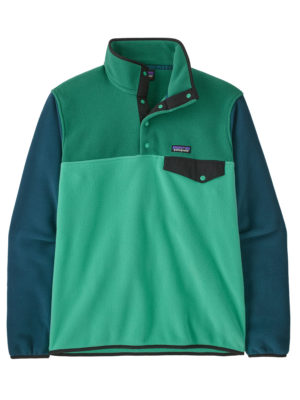 Alternative view of Patagonia LW Synchilla® Snap-T® Men's Fleece Pullover