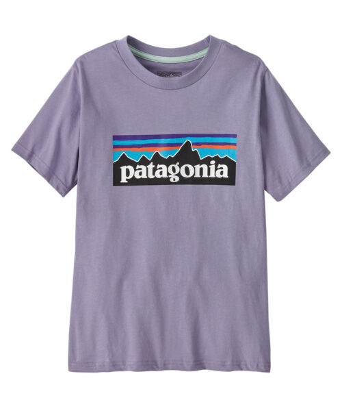 Patagonia P-6 Logo Kids' T-shirt