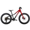 Trek Roscoe 20´´
