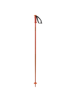 Salomon Polar Alpine Poles