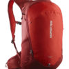 RED DAHLIA/HRISK RED