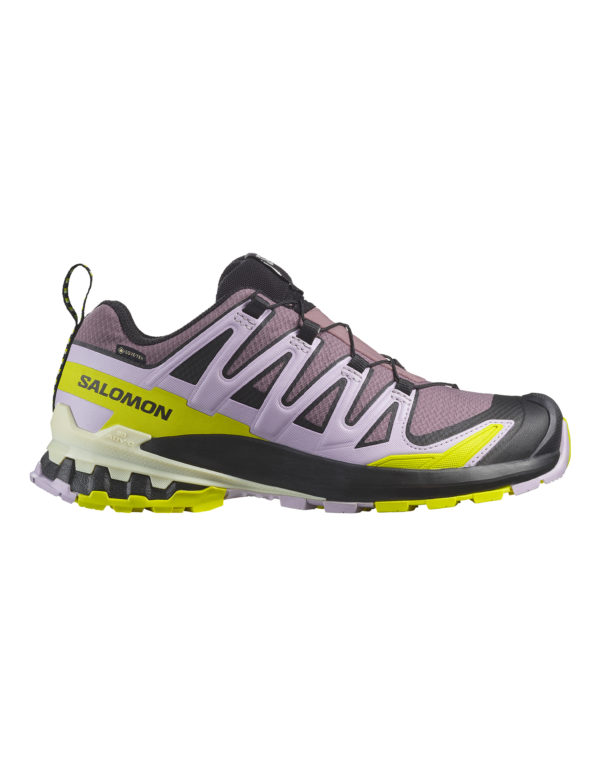 Salomon XA PRO 3D V9 Gtx Women's Shoe - Image 3