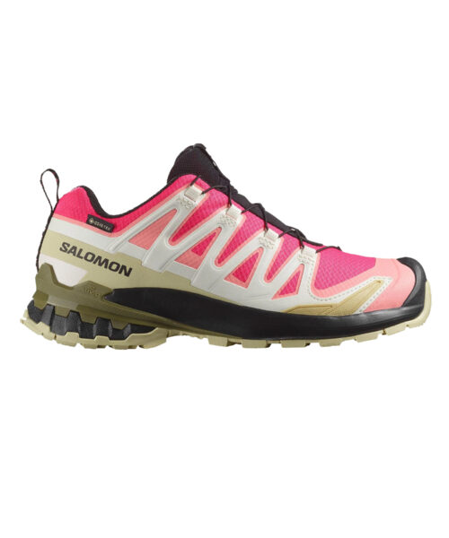 Salomon XA PRO 3D V9 Gtx Women's Shoe