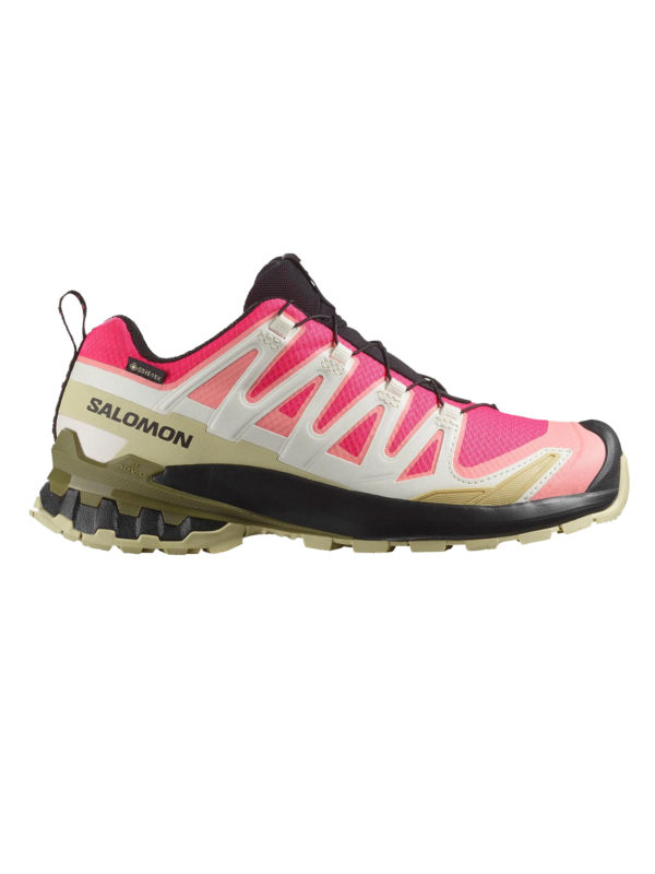 Salomon XA PRO 3D V9 Gtx Women's Shoe