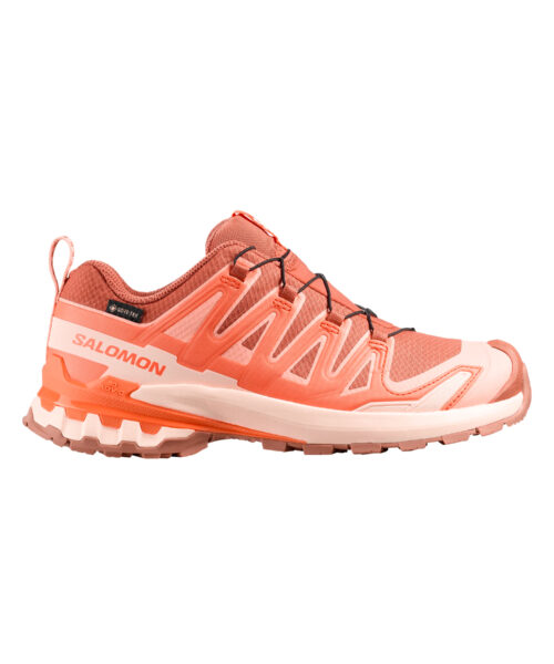 Salomon Xa Pro 3D V9 Gore-Tex Women's Shoes