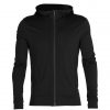 Icebreaker Quantum III Ls Zip Men's Hoodie