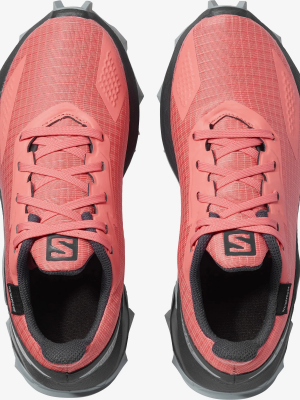 Salomon Alphacross Blast Cswp Jr