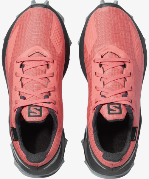 Salomon Alphacross Blast Cswp Jr