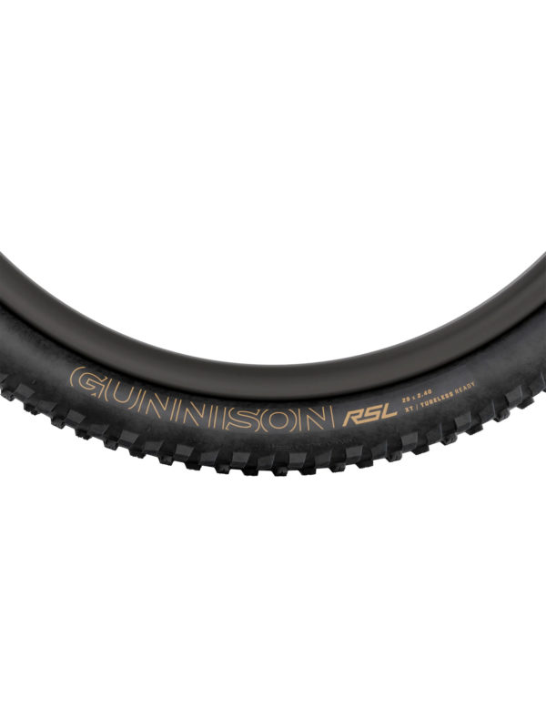 Bontrager Gunnison Rsl Xt 29X2.40 - Image 3