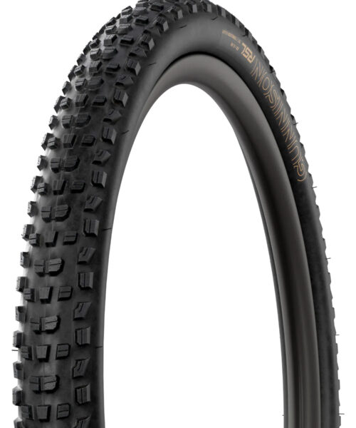 Bontrager Gunnison Rsl Xt 29X2.40