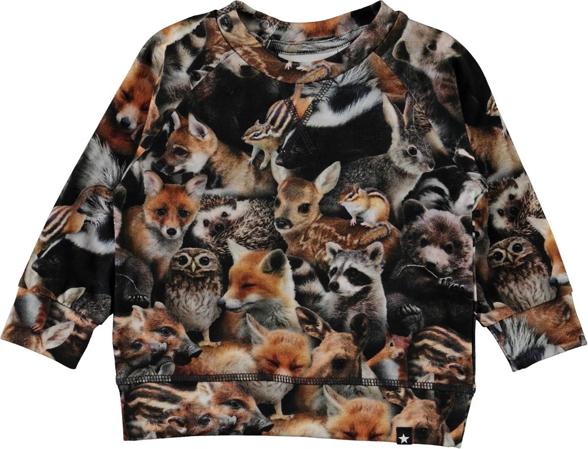 FOREST ANIMALS