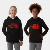 The North Face Youth Drew Peak Hoodie
