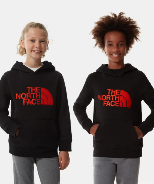 The North Face Youth Drew Peak Hoodie