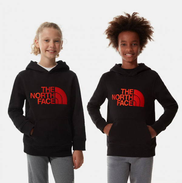 The North Face Youth Drew Peak Hoodie