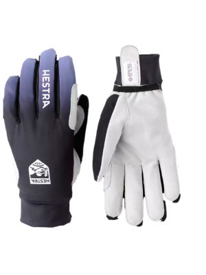 Hestra Infinium Momentum 5-Finger Ski Gloves