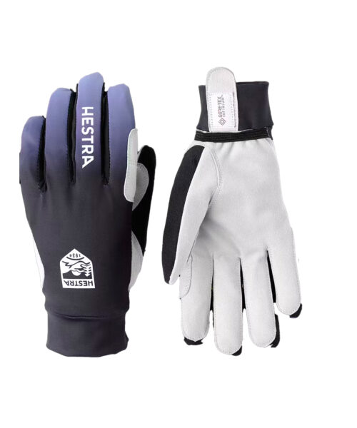 Hestra Infinium Momentum 5-Finger Ski Gloves