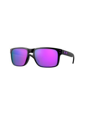 Oakley Holbrook