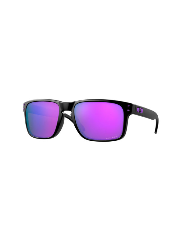 Oakley Holbrook