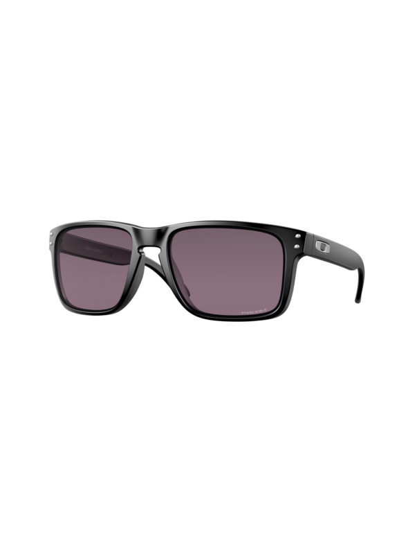 Oakley Holbrook Xl
