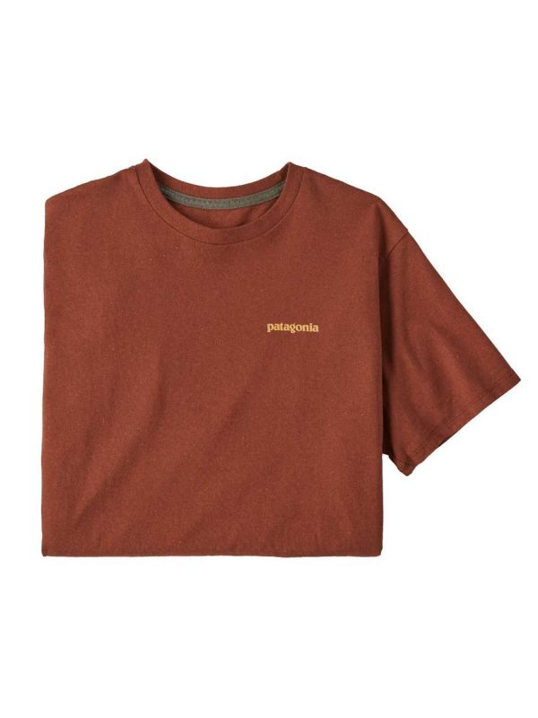 Patagonia Fitz Roy Icon Responsibili Men's T-shirt