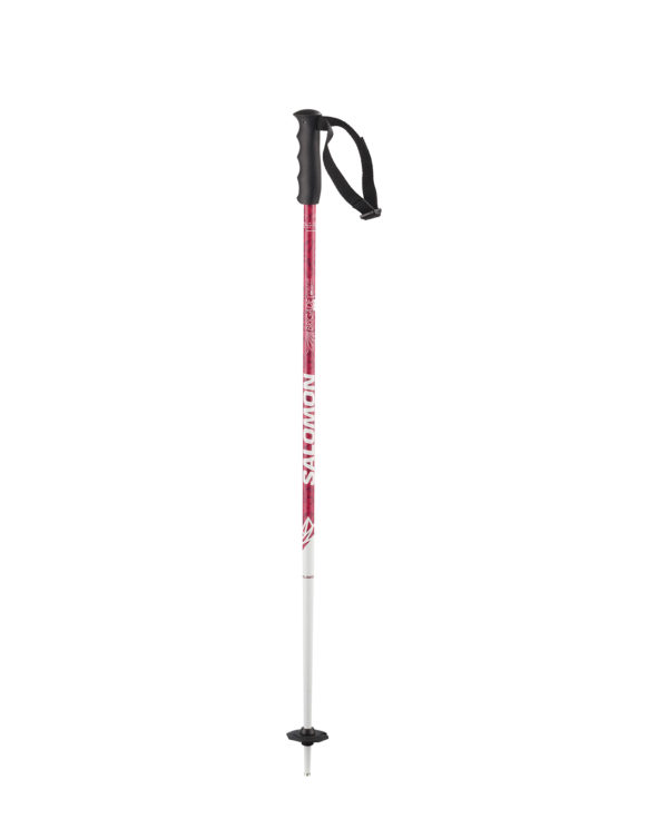 Salomon Brigade Jr Kids Alpine Poles