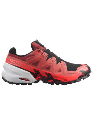 Salomon Spikecross 6 Gtx