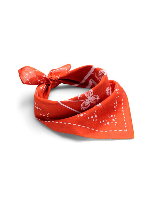 Amundsen Vagabond Bandana Huivi - Image 6